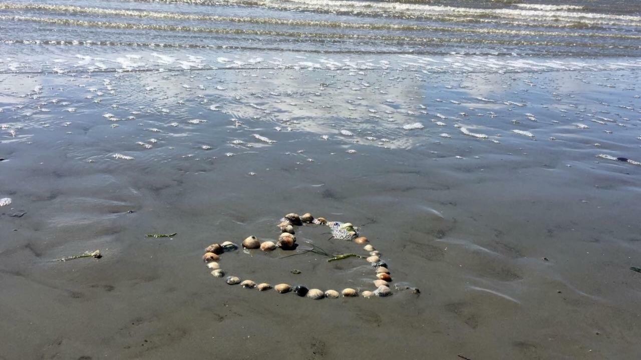 Strandhaus Kleine Perle Büsum Εξωτερικό φωτογραφία